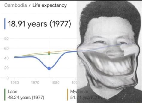 cambodia life expectancy 1977|cambodia life expectancy 1977 meme.